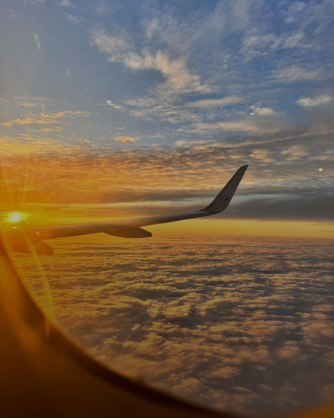 Untitled design - 2025-09-17T232347.274